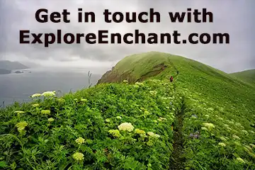Get in touch