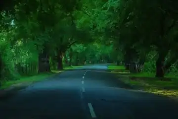 natural spots of Kodaikanal