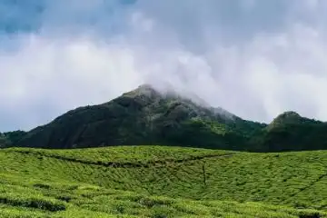 the wonderfulness of Palakkad