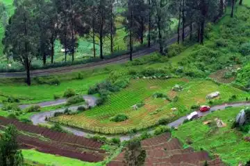 well known locations in Ooty