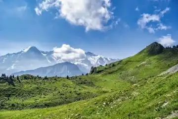 the beauty of Dalhousie